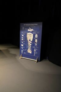 Tutanchamun Ausstellung in Wien