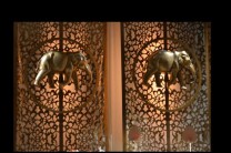 Elefanten-Heiligtum (Bild: Selena Plassmann)