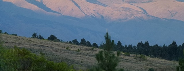 Blick auf die Hänge des Nationalparks Tunari