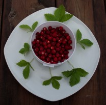 Walderdbeeren  (Bild: Sylvia Haendschke)