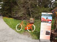 Insel Mainau_BodenSee_Guide