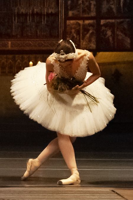 Prima Ballerina Ekaterine Surmava