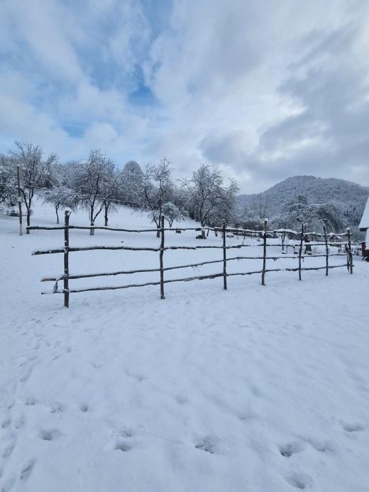 Winter in den Karpaten_2023_Weintal_Oberwischau_Maramures_Rumänien_VII