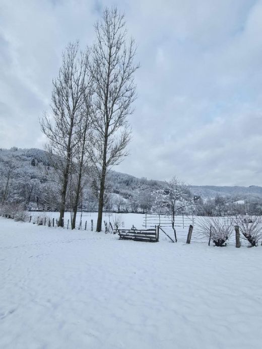 Winter in den Karpaten_2023_Weintal_Oberwischau_Maramures_Rumänien_V