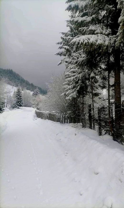 Winter in den Karpaten_2023_Weintal_Oberwischau_Maramures_Rumänien_X