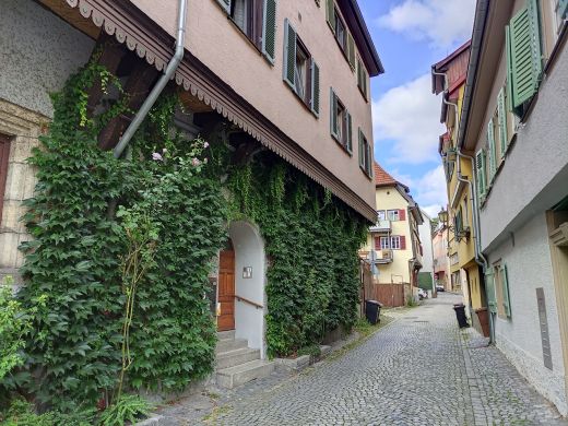 Gasse_IV_Esslingen am Neckar 2024